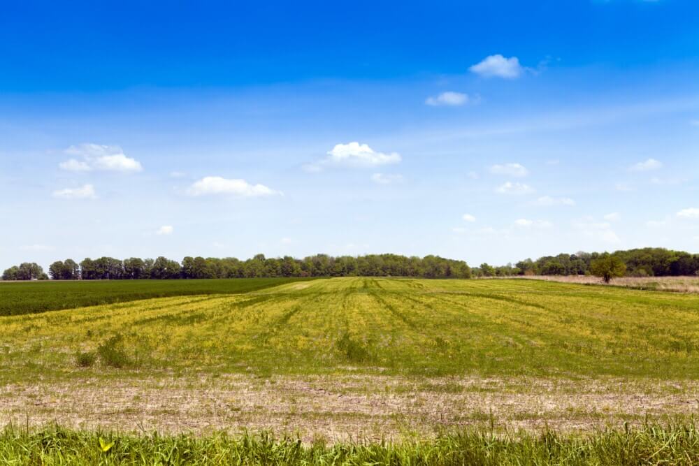 Sell Land in Bonham TX